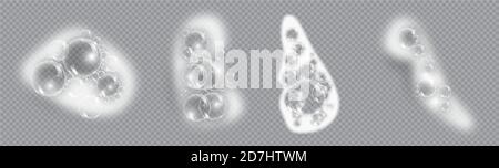 Bath foam soap with bubbles isolated vector illustration on transparent background. Set of shampoo and soap foam lather vector illustration Stock Vector