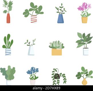 Houseplants flat color vector objects set Stock Vector
