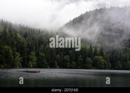 Fog and mist hanging over a lake in the temperate rainforest and Coast Mountains near Stewart and Hyder, Northern British Columbia, Canada. Stock Photo