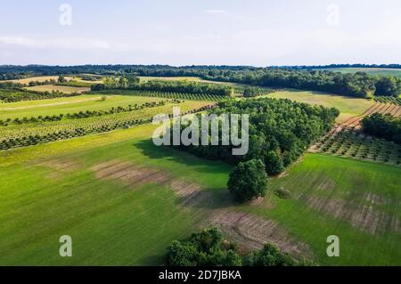Drone view of green countryside landscape in summer Stock Photo