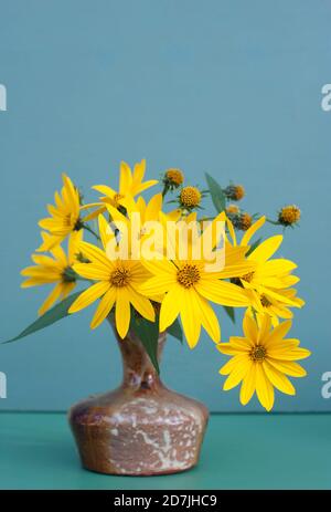 Studio shot of vase with yellow blooming Jerusalem artichoke (Helianthus tuberosus) flowers Stock Photo