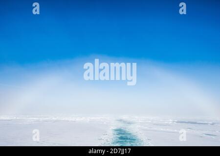 Fog bow arching over ice floating in Arctic Ocean