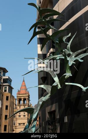 'Flight' by Lorne McKean, a bronze sculpture of birds in City Square, Leeds, West Yorkshire, England. Stock Photo