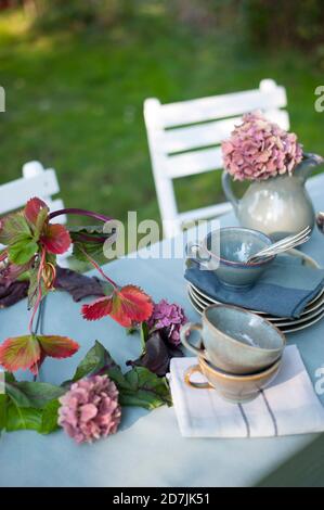 Crockery and DIY lamp shade made of leaves and hydrangea flowers lying on coffee table set in garden Stock Photo