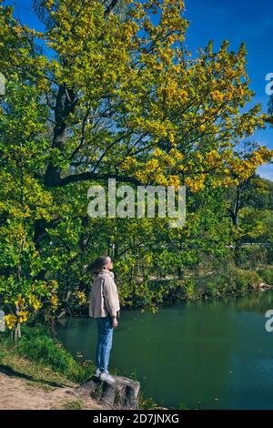 Woman standing on tree stump at lakeshore in park during autumn Stock Photo