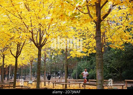 Paris, France. 23rd Oct, 2020. A man runs at the Luxembourg park in Paris, France, Oct. 23, 2020. Credit: Gao Jing/Xinhua/Alamy Live News Stock Photo