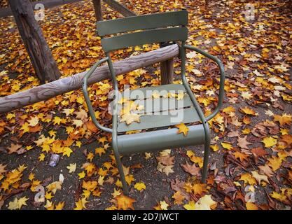 Paris, France. 23rd Oct, 2020. Fallen leaves are seen at the Luxembourg park in Paris, France, Oct. 23, 2020. Credit: Gao Jing/Xinhua/Alamy Live News Stock Photo
