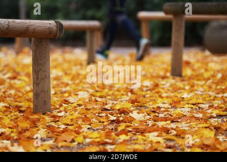 Paris, France. 23rd Oct, 2020. Fallen leaves are seen at the Luxembourg park in Paris, France, Oct. 23, 2020. Credit: Gao Jing/Xinhua/Alamy Live News Stock Photo