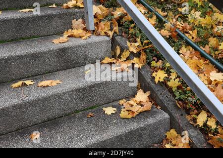 Yellow leaves lie on the steps of the stairs in autumn Stock Photo