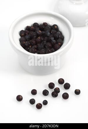 JUNIPER BERRIES AGAINST WHITE BACKGROUND Stock Photo