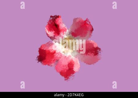 Digital painting of a flower with maroon, red and white colors on a mauve color background. A fuzzy colorful flower made using digital platform. Stock Photo