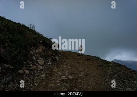 Man from behind with a backpack is trekking along a mountain trail in dense fog against the background of a gray cloud. Back view. Active lifestyle Stock Photo