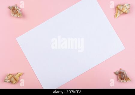 Four seashells in the corners on a pink background Stock Photo