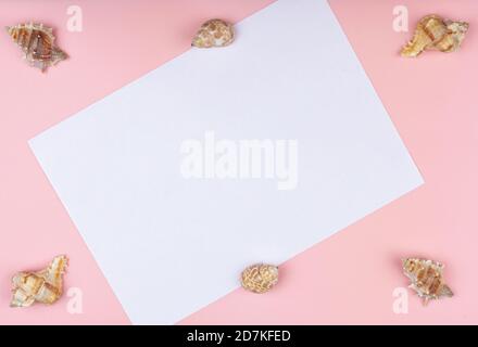 six shells on a pink background Stock Photo