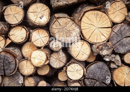 Firewood pile, pattern with ends of logs close-up. Woodpile of brown timber, stack of rough sawn trees with bark, dry wood texture background. Concept Stock Photo