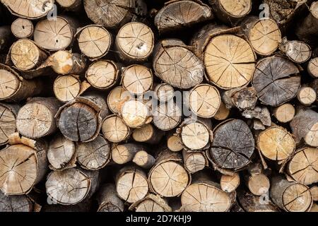 Timber stack, ends of logs for texture background. Woodpile of brown firewood, rough sawn trees with bark, pattern with dry wood in sawmill. Concept o Stock Photo