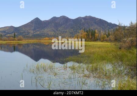 Autumn colors, Lake, Brooks Range Mountains, Alaska Stock Photo