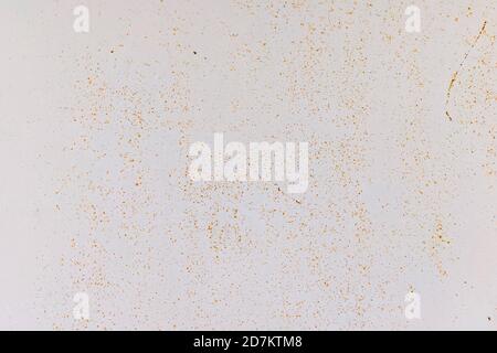 Painted metal wall with fine corrosion points. Stock Photo