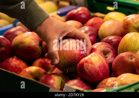 Man's hand takes a yellow red organic apple from the box in a supermarket. Buying apples at grocery store.Choosing apple Stock Photo