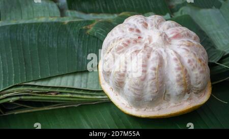 Close up of a peeled grapefruit Stock Photo