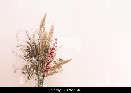 Dried flowers. Field dry spikelets and herbs in vases on a light