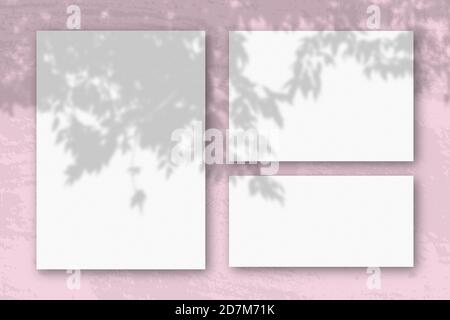 Several horizontal and vertical sheets of white textured paper against a pink wall background. Mockup with an overlay of plant shadows. Natural light Stock Photo