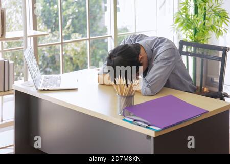 An Asian male employee sleeping on a desk in the office Stock Photo
