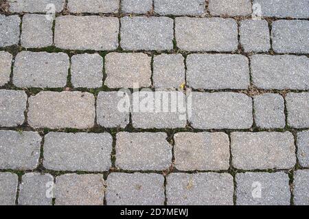 Moss grows between old farmhouse paving stones. Stock Photo