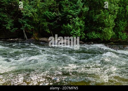 Whitewater Preserve Minden Hills Algonquin Highlands Ontario Canada in summer Stock Photo