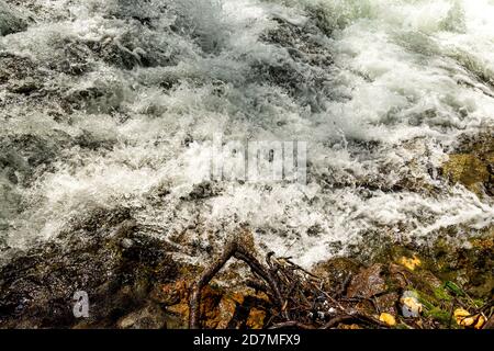 Whitewater Preserve Minden Hills Algonquin Highlands Ontario Canada in summer Stock Photo