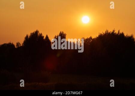 Bright sun goes down behind the tree line, orange colored evening sky, trees visible as a silhouette. Copy space. Lens flare. Stock Photo