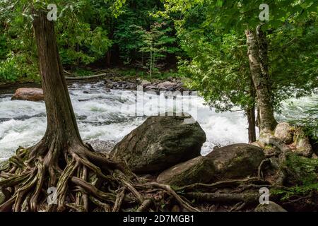 Whitewater Preserve Minden Hills Algonquin Highlands Ontario Canada in summer Stock Photo