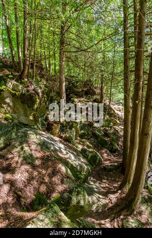 Whitewater Preserve Minden Hills Algonquin Highlands Ontario Canada in summer Stock Photo