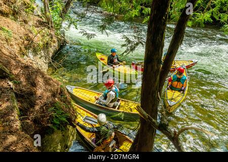 Whitewater Preserve Minden Hills Algonquin Highlands Ontario Canada in summer Stock Photo