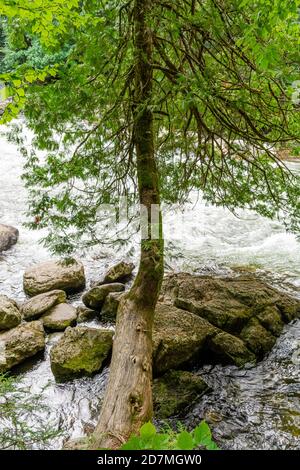 Whitewater Preserve Minden Hills Algonquin Highlands Ontario Canada in summer Stock Photo