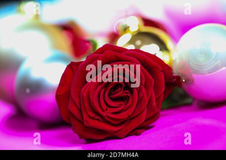 red rose with christmas baubles on pink background Stock Photo