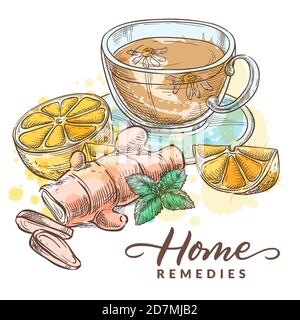 Herbal tea with chamomile, lemon, ginger and mint. Home remedies treatment and medicines for colds, flu, coughs. Vector hand drawn watercolor sketch i Stock Vector