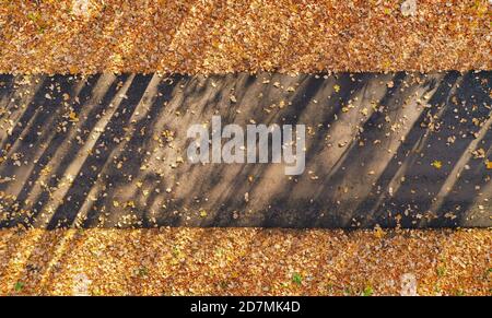 Top view of an autumn footpath with yellow leaves. Stock Photo