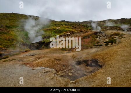 The island sits on one of the earth’s 'hot spots,' resulting in a lot of geothermal activity. Stock Photo