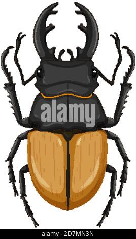 Stag beetle isolated on white background illustration Stock Vector