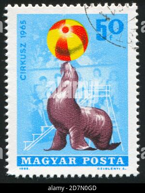 HUNGARY – CIRCA 1965: stamp printed by Hungary, shows  seal balancing ball in circus, circa 1965 Stock Photo