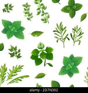 Spice seamless pattern. Food herbs and spices oregano green basil mint spinach coriander parsley dill and thyme. Vector endless texture spice for cooking, ingredient herbal and basil illustration Stock Vector
