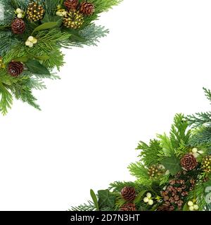 Winter Greenery Border stock image. Image of background - 99103983