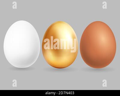 Three realistic eggs isolated on grey background. Vector eggs chicken golden, brown and white illustration Stock Vector