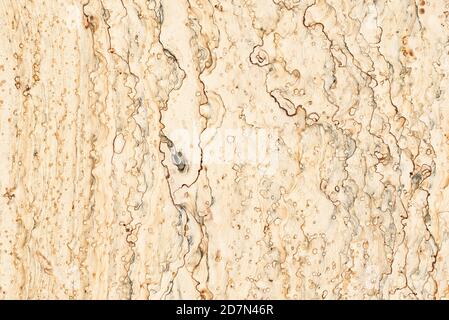 Decorative stone with abstract pattern. Stock Photo