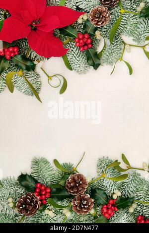 Poinsettia flower background border with winter greenery of holly, snow covered spruce fir, mistletoe & pine cones on parchment paper. Stock Photo
