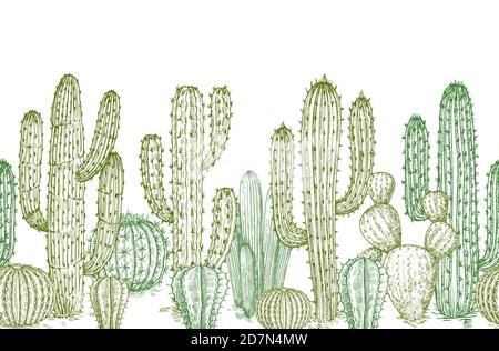 Cactus seamless pattern. Sketch desert cactuses plants endless border for western landscape vector illustration. Seamless pattern cactus sketch, floral botanical Stock Vector