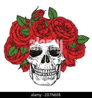 Hand drawn skull with roses head wreath vector isolated on white background. Skull dead, vintage head drawn with flowers illustration Stock Vector