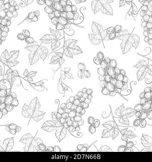 Sketch grapes seamless pattern vector texture background. Illustration of seamless pattern vintage branch of grape, fruit drawing wallpaper Stock Vector