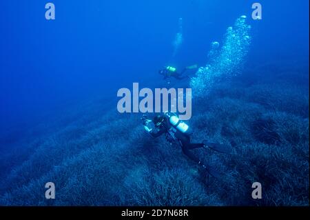 Scientists during healthcheck monitoring survey on neptune grass, Posidonia oceanica, beds Sarıgerme Turkey. Stock Photo